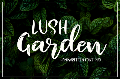 Lush Garden branding brush font design flower food garden hand drawn hand drawn font handwritten font illustration packaging poster font script font signature font social media ui