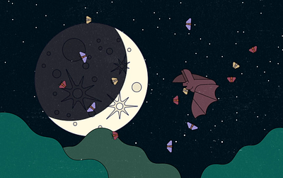 Raspberry Pi in the Natural World: Bat Detecting in Germany bats germany moon moths night nighttime raspberry pi sonar starry sky
