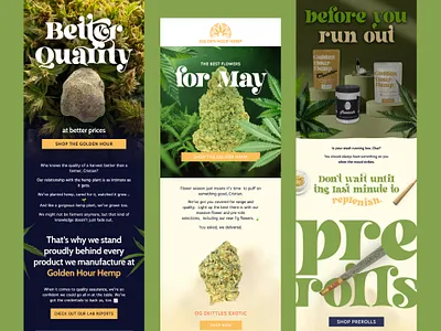 Newsletter Design for Health and Wellness Brand ✨ email email design email marketing email template klaviyo klaviyo email design newsletter newsletter design