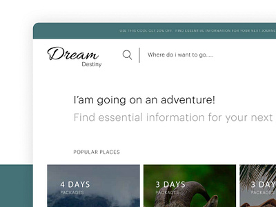 Dream Destiny Kerala Website design homepage ui ux website