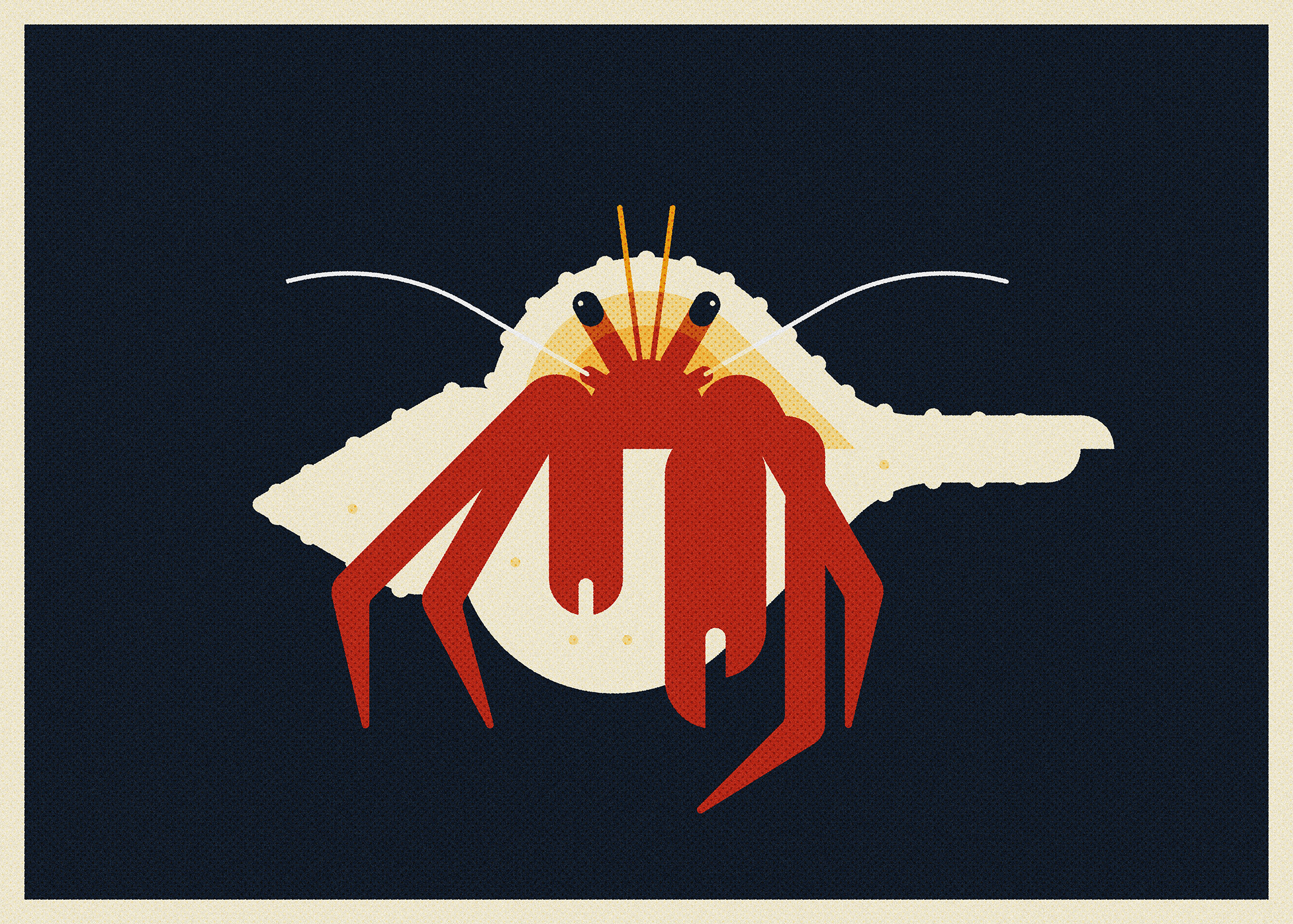 Spotted Hermit Crab (2024) branding design graphic design illustration minimal illustration nature vector wildlife