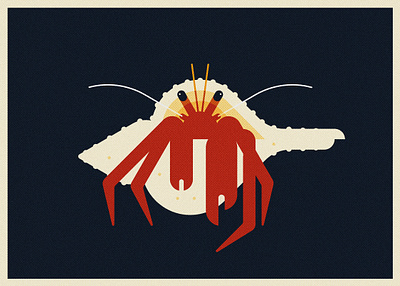 Spotted Hermit Crab (2024) branding design graphic design illustration minimal illustration nature vector wildlife