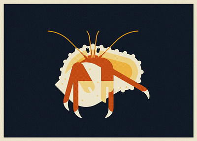 Orange Claw Hermit (2024) branding design illustration minimal illustration nature vector wildlife