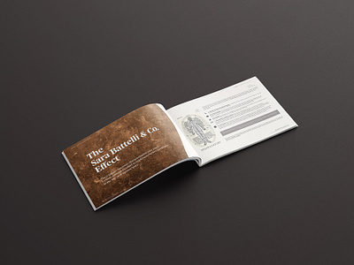 First Quantum Minerals Ltd. / Cobre Panama Presentation Brochure branding design editorial editorial design graphic design