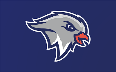Nightingale Nighthawk Logo branding graphic design illustration logos sports sports logos