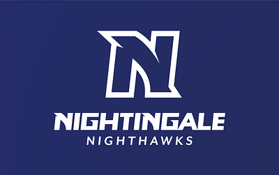 Nightingale Nighthawk Wordmark branding graphic design logo sports typography