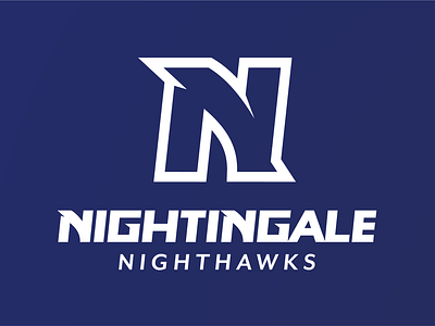 Nightingale Nighthawk Wordmark branding graphic design logo sports typography