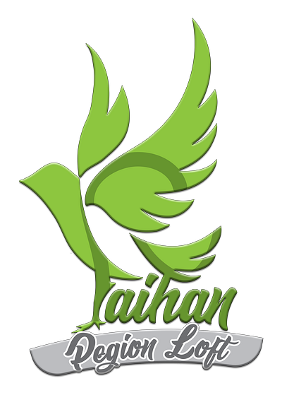 Pigeon Logo graphic design logo