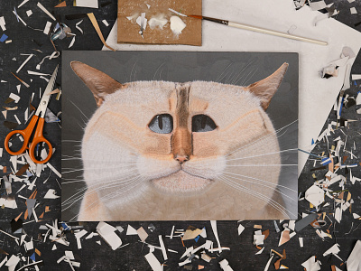 Vlad, studio cat cats collage dribbble studio