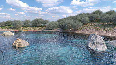 Chaos V-Ray terrain and waterscape Render curs chaos v ray