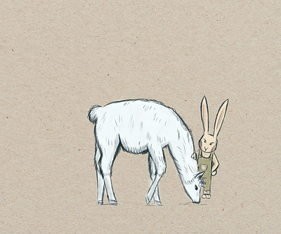 Lama and rabbit branding design digital art drawing graphic design illustration