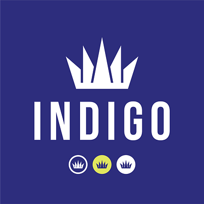 Brand work for INDIGO - a luxury lifestyle and advocacy group brand identity branding digital graphics graphic design indigo social media