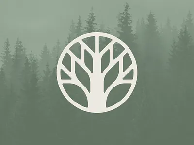 Abide Ministries Mark brand identity branding christian design graphic design icon logo logo mark ministry non profit the curio co vector