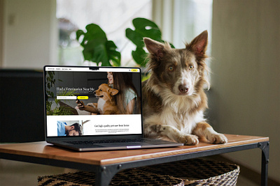 Dutch Location Hub, State and Location Page maps pet pet telehealth search templates ui web design