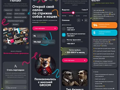 Groom Franchising branding cat design dog franchising groom grooming ui ux web website