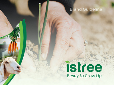 Istree - Brand Guideline branding graphic design logo