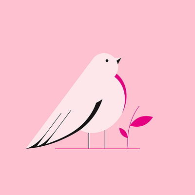 Sparrow illustration vector vectorillustration