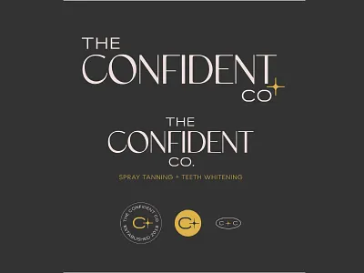 The Confident Co Spray Tan + Teeth Whitening Logo Suite beauty beauty service confidence elegant indianapolis logo suite mobile tanning noblesville polished pristine sparkle spray tan tanning teeth whitening the confident co twinkle