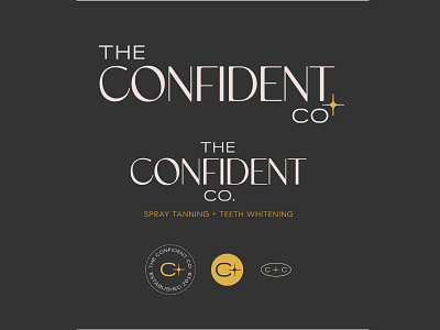 The Confident Co Spray Tan + Teeth Whitening Logo Suite beauty beauty service confidence elegant indianapolis logo suite mobile tanning noblesville polished pristine sparkle spray tan tanning teeth whitening the confident co twinkle