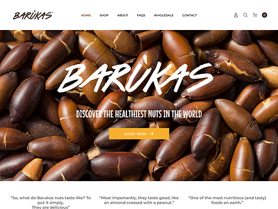 Baruka's Nuts Desktop User Interface Design graphic design ui ux website design