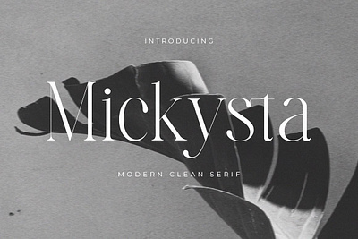 Mickysta - Modern Serif Font calligraphy display font font ligature luxury font mickysta modern serif font modern font modern serif retro font serif typeface typography