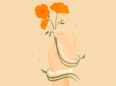 It's never too late to bloom aftereffects animation bloom flowers grow hand illustration poppy summer