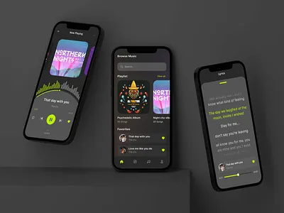 Music Player musiclovers ui