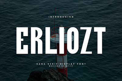 Erliozt Sans Serif Display Font animation branding font fonts graphic design logo maulana creative nostalgic sans font sans serif