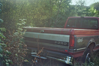 overgrown ford truck