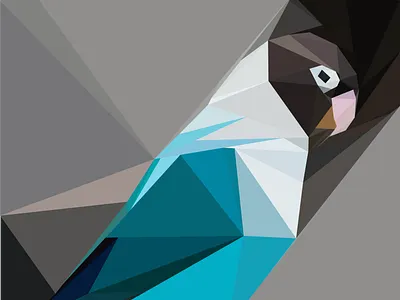 Parrot 🦜 🐦 illustration graphic design illustration vector