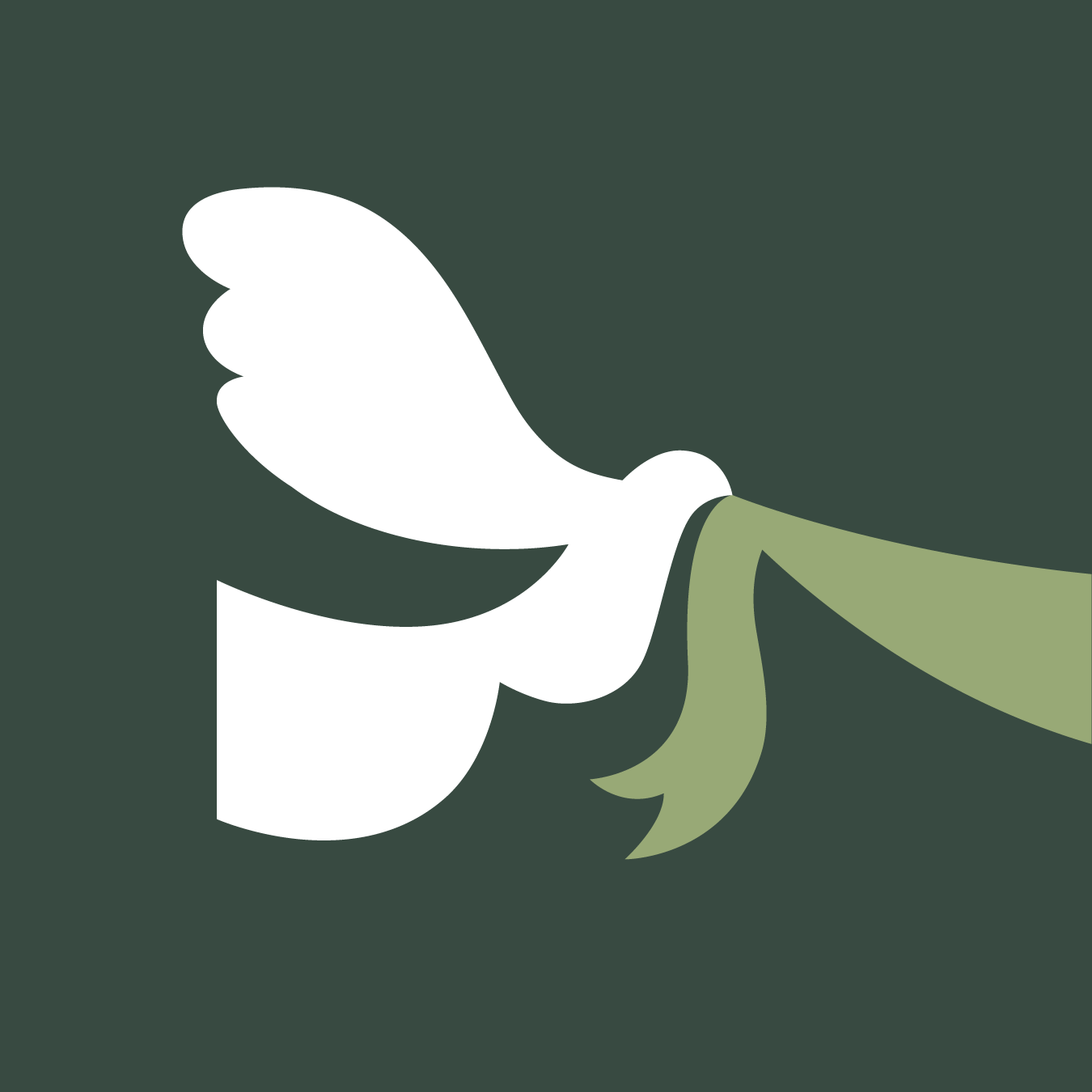 Dove Illustration by Amanda DeWoody on Dribbble