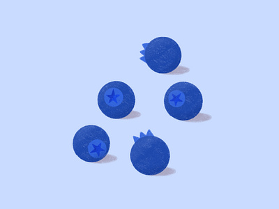 Blueberry Illustration blueberry digital illustration graphic design illustration procreate