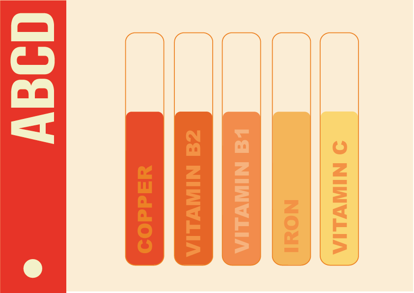 vitamin-chart-by-talia-on-dribbble