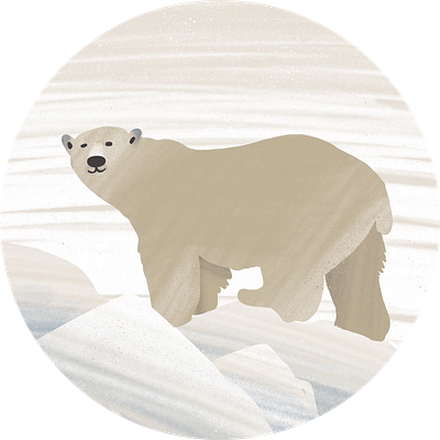 Polar Bear animals board game game design illustration polar bear