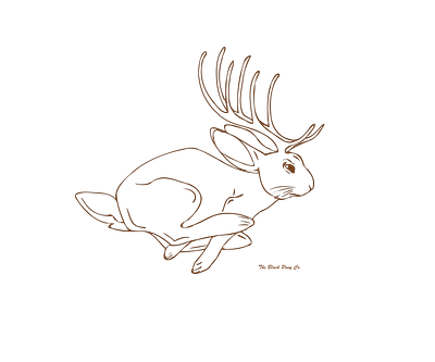 Jackalope