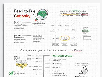 Feed to Fuel Curiosity children clean cute dietitian early development early education graphic design hand drawn health healthful eating illustration infographic kids development minimalist modern nutrition parent print design