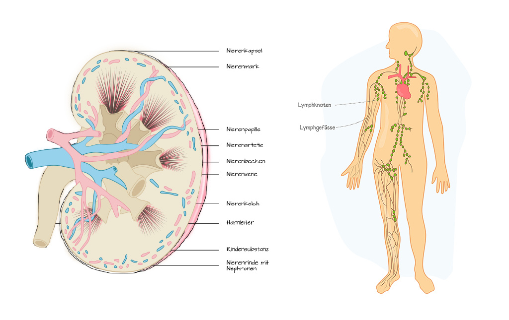 Illustration for training materials illustration illustrator vector