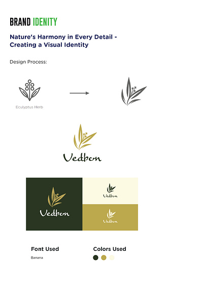 Vedbon - Brand Building Case Study brand building brand identity branding logo product packaging ui website website building
