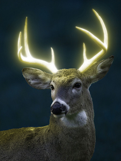 Deer horn Glow graphic design