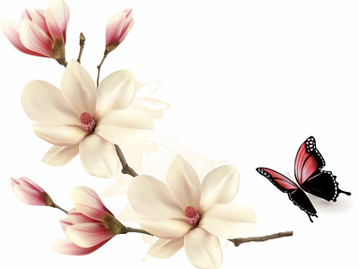 Beautiful white magnolia branch with a butterfly. Vector. felt magnolia