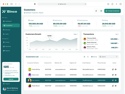 Binco in Mint Style accessibility dashboard design minty green qlark.studio