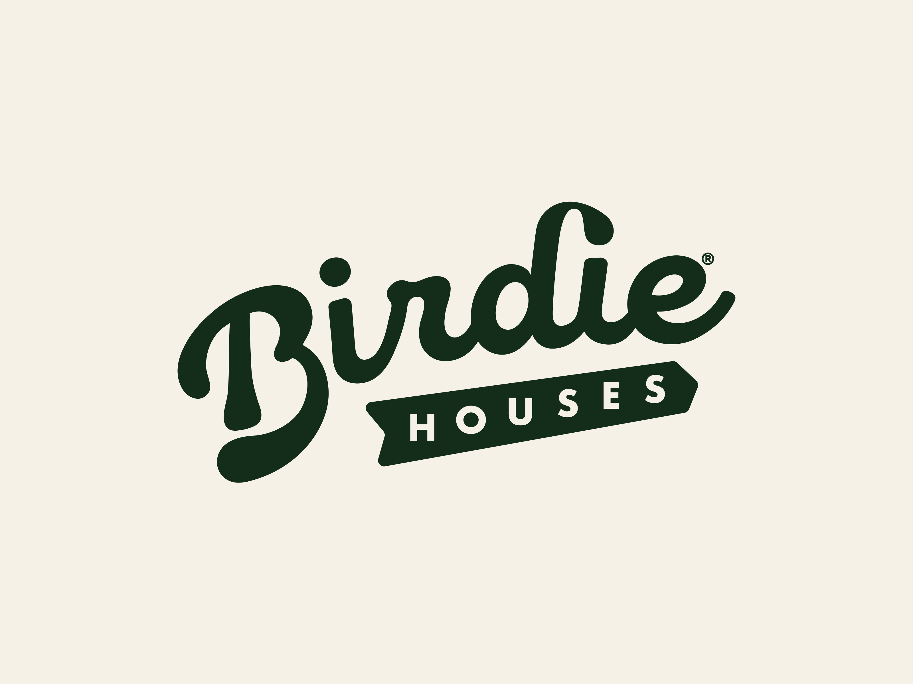 Example of Birdie Houses