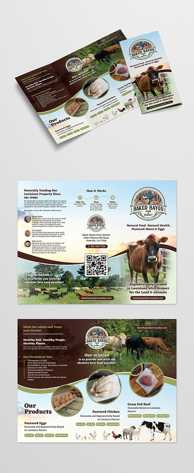 Baker Bayou brochure dairy design farming flyer graphicdesign marketing meat