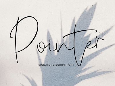 Pointer branding casual font design fashion font flowers food hand drawn hand drawn font handwritten font illustration label logo font modern font poster script font signature font social media travel ui wedding font