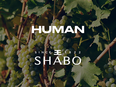 SMM for Ukrainian wine brand SHABO brand awareness marketing smm