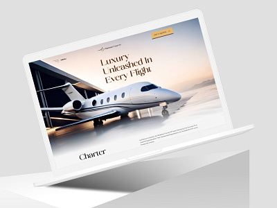 Platinum Express Landing page aircraft cabin business jet creative executive jet first class travel flying in style jet charter jet design concep landing page new trend premium travel private jet life private plane ui design vip jet website