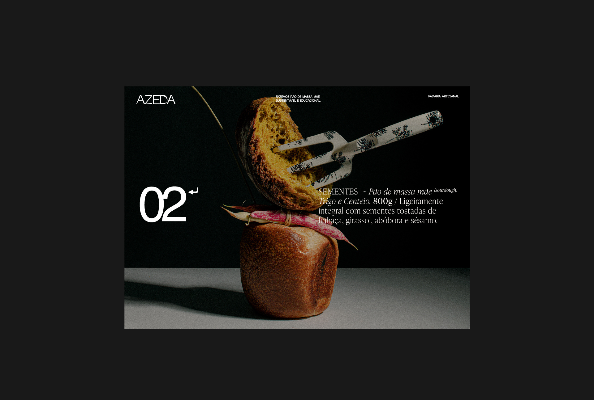 AZEDA VISUALS & PHOTOGRAPHY branding graphic design layout photography social media