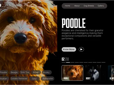 web design branding design figma graphic design illustration logo mobile app ui ux vector