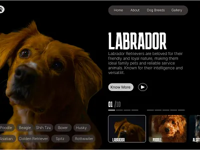 web design branding design figma graphic design illustration logo mobile app ui ux vector