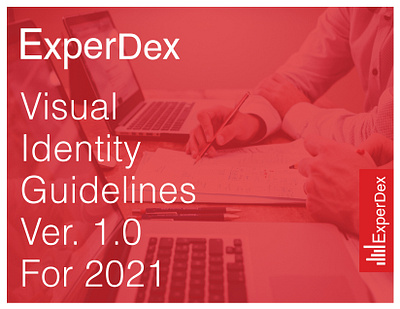 Logo design Visual Identity Brand Guide Book for ExperDex brand guide book brand guideline branding logo design visual guide book